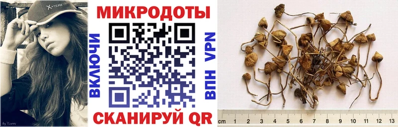 площадка состав  Сухой Лог  Галлюциногенные грибы Magic Shrooms 
